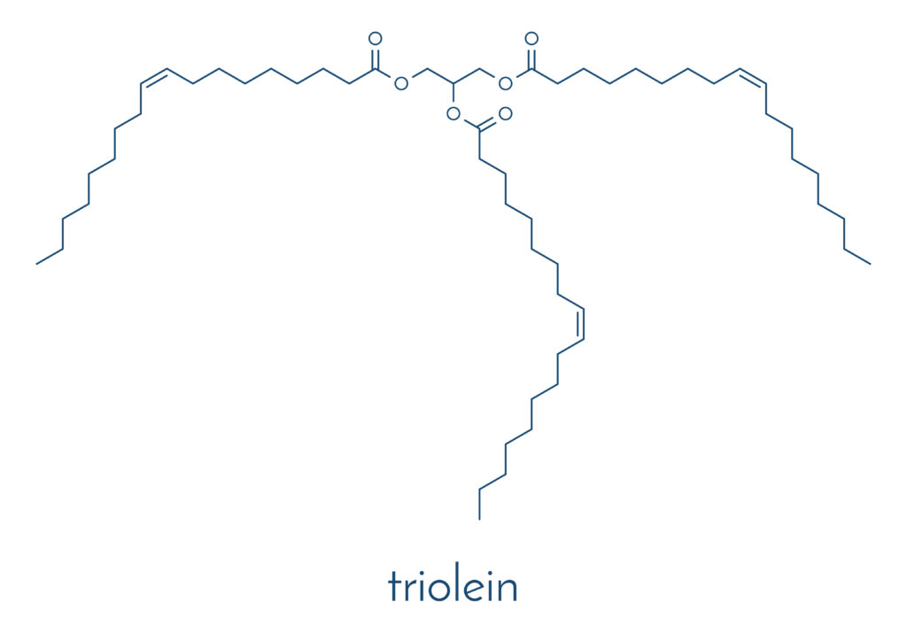 olive oil triglyceride (glyceryl trioleate, triolein). example of an olive oil triglyceride, containing 3 oleic acid moieties. skeletal formula.