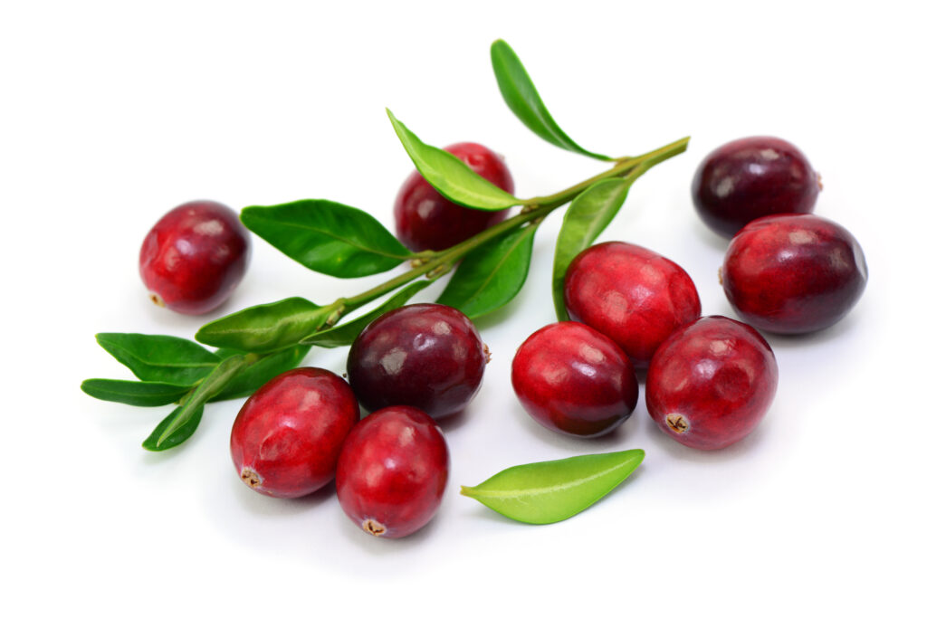 cranberry