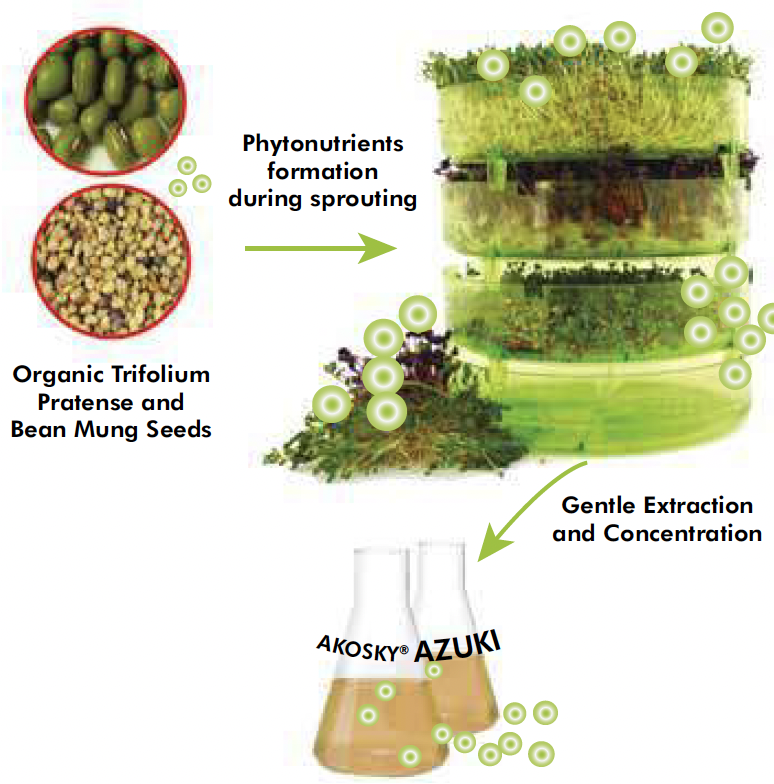 akosky azuki extraction