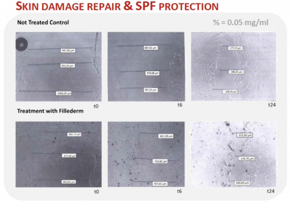 fillederm skin damage repair and spf protection