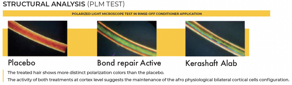 kerashaft alab plm test