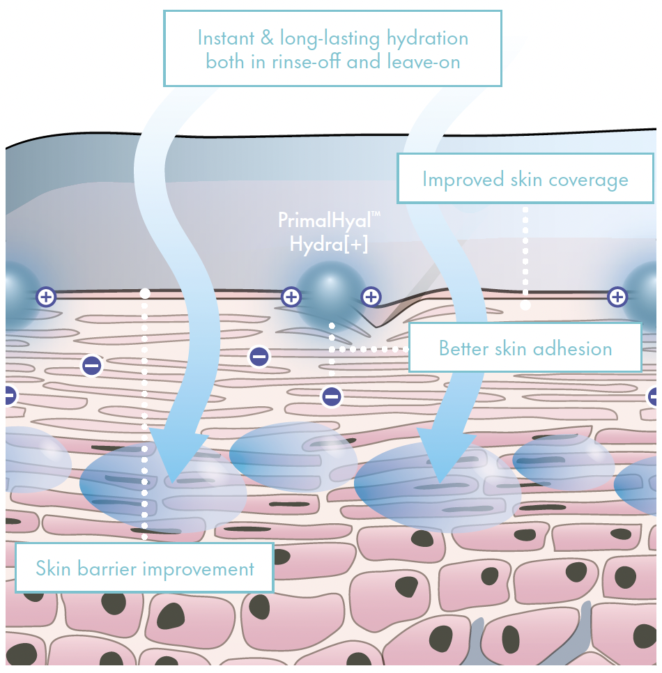 primalhyal hydra+ mechanism of action