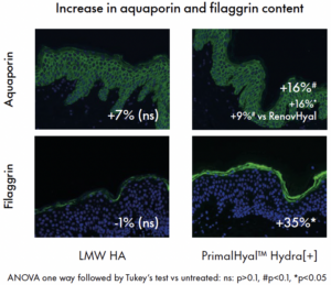 primalhyal hydra+ reinforcement of barrier function and skin hydration