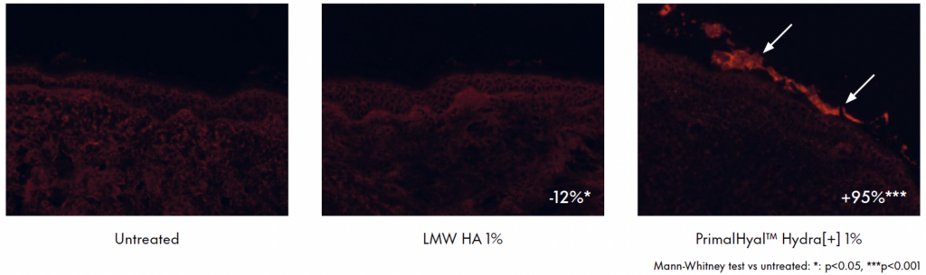 primalhyal hydra+ skin adhesion