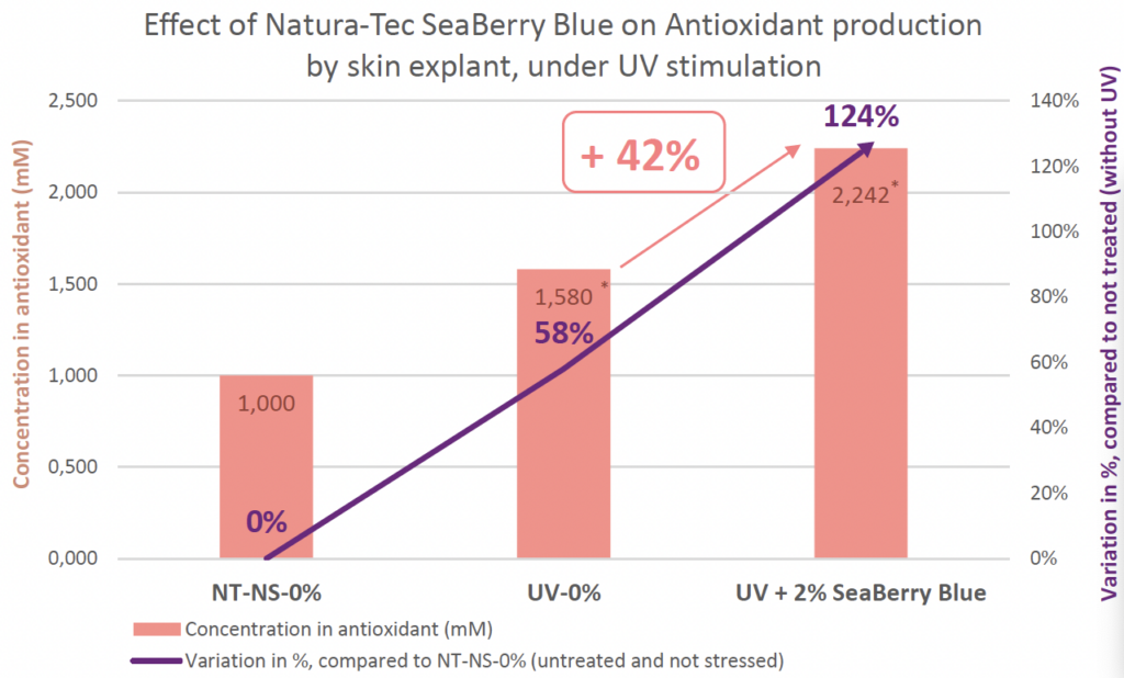 seaberry blue antioxidant synthesis uva and uvb