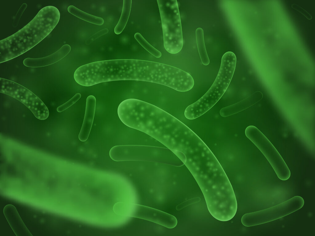 bacteria biological concept. micro probiotic lactobacillus green scientific abstract background