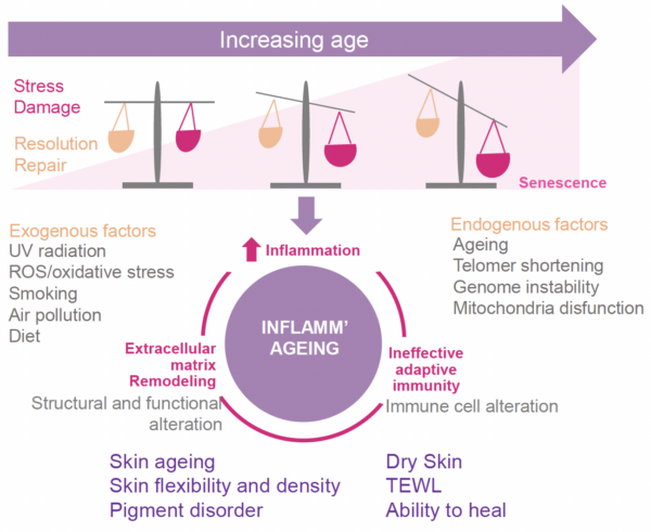 natura tec crystal rose inflammation + aging relationship