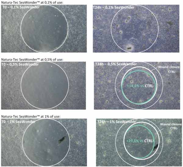 natura tec seawonder wound healing efficacy