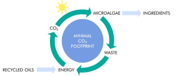 natura tec sustainable microalgae production