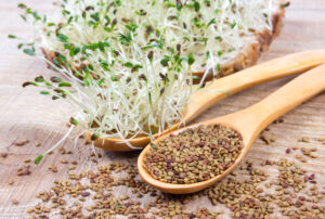 fresh alfalfa sprouts and seeds closeup.