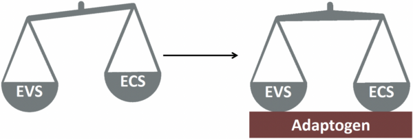 annonasense clr evs and ecs