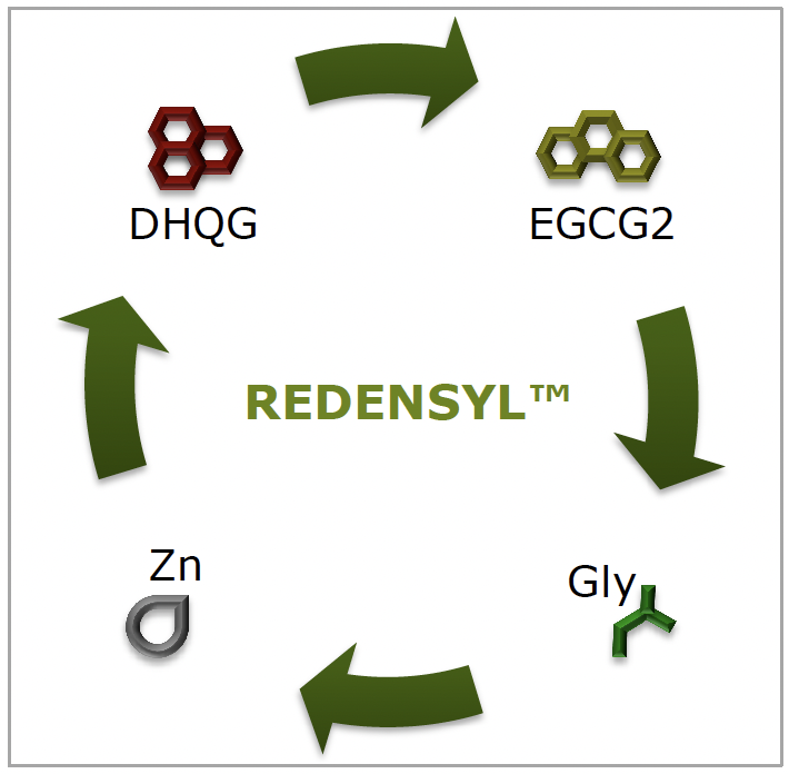 creation of redensyl