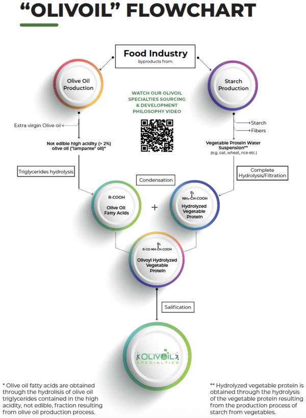 olivoil specialties flowchart