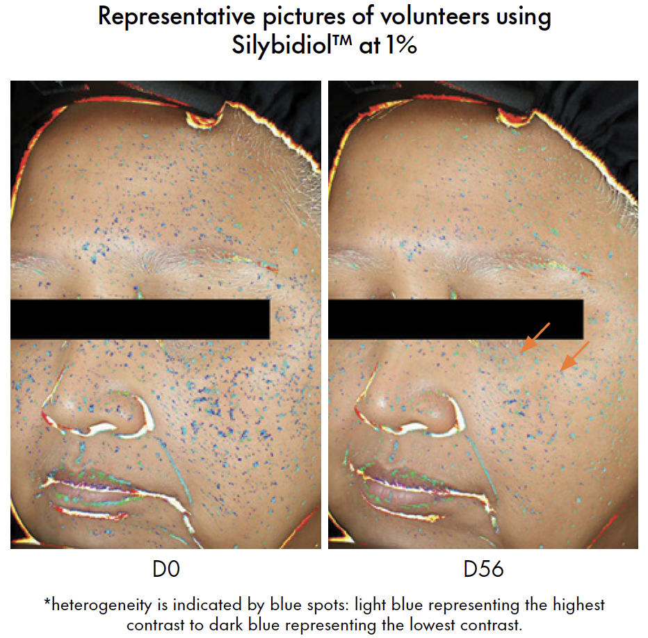 silybidiol volunteer picture