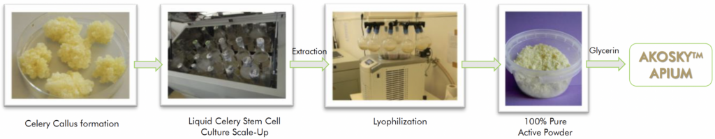 akosky apium production process