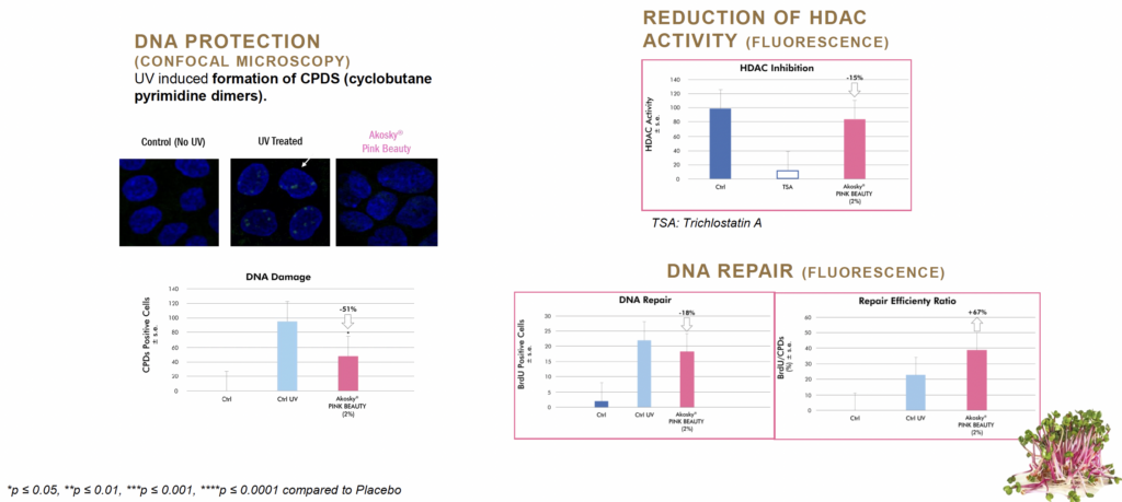 akosky pink beauty in vitro dna protection and repair