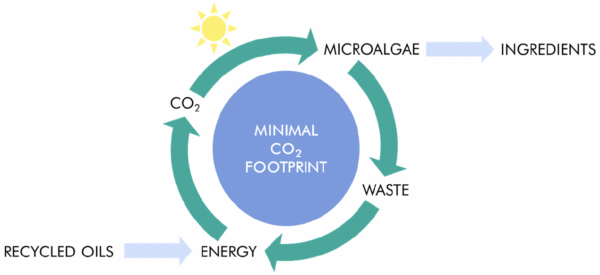 natura tec microalgae technology