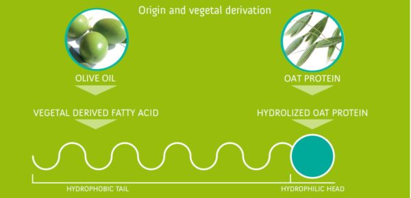 olivoil fruttoside technology