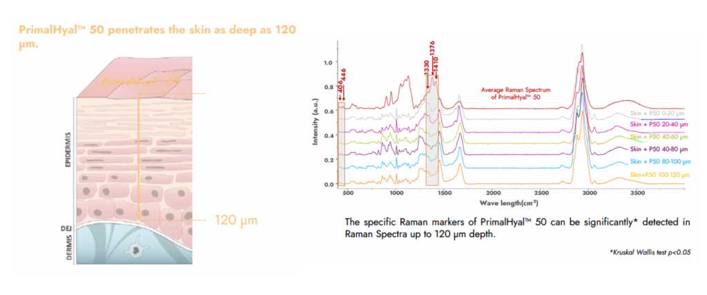 primalhyal 50 life deep skin penetration