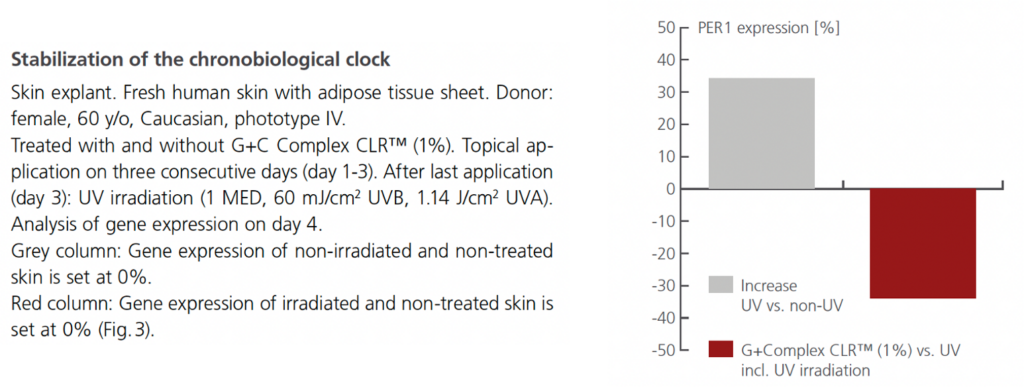 g+c complex clr stabilization chronobiological clock