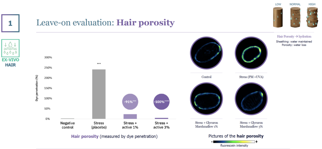 glycuron marshmallow leave on hair porosity