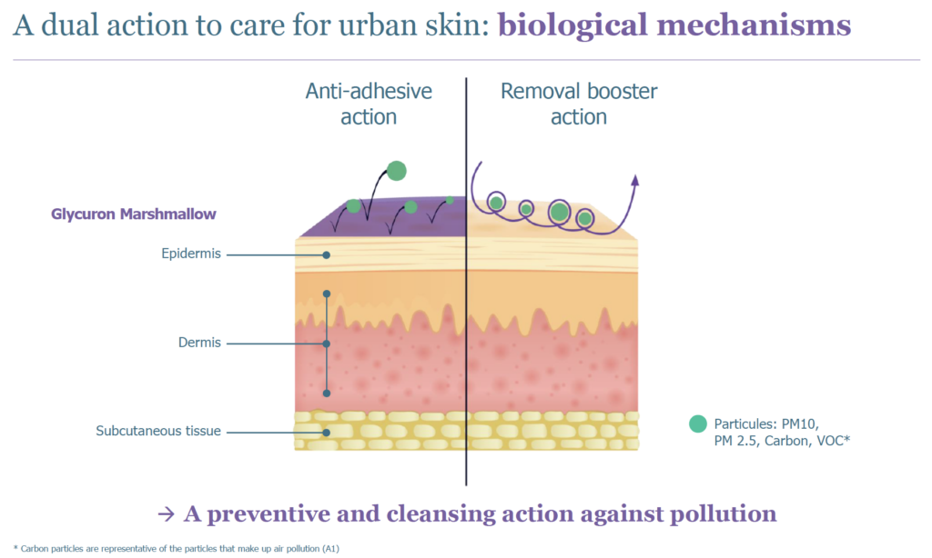 glycuron marshmallow mechanism of action skin