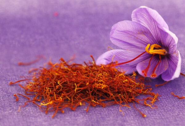 dried saffron spice and saffron flower