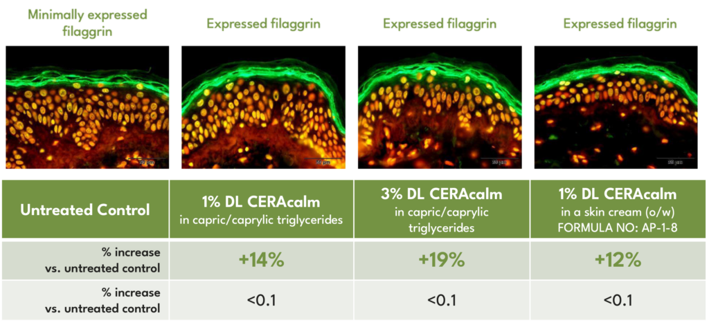 dl ceracalm barrier repair filaggrin