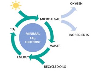 natura tec circular economy model