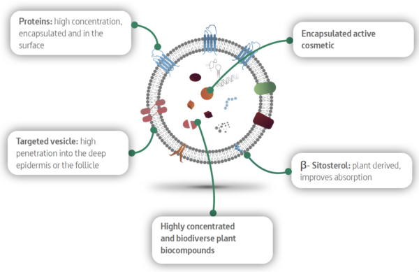 indermal exosome technology