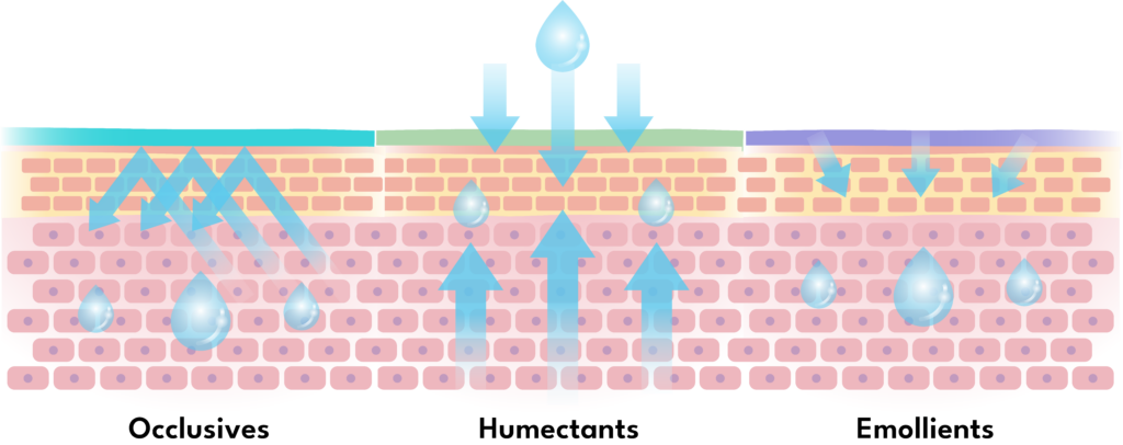 key ingredients for hydration